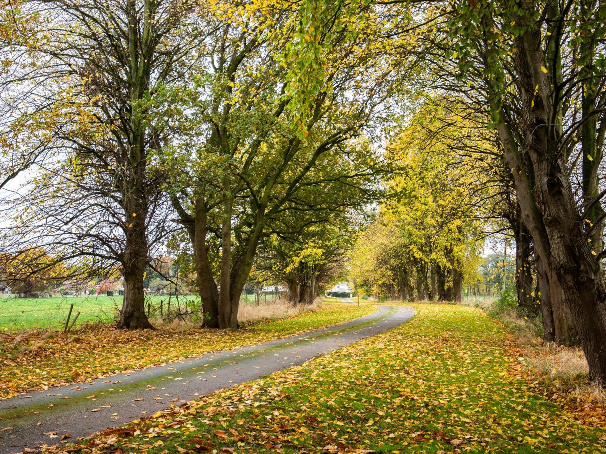 Yha Chester Trafford Hall Dunham-on-the-Hill 외부 사진